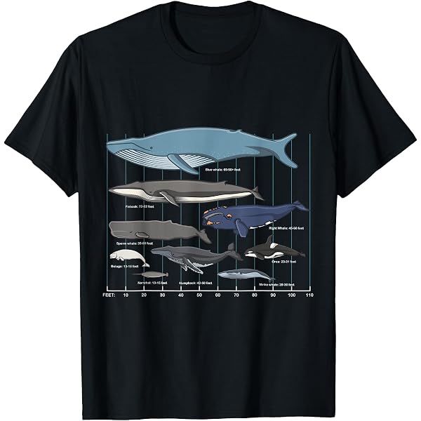 Amazon.com: 9 Types of Whales Shirt - Whale Breeds Species - Whale
