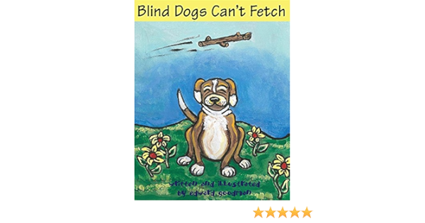 blind dog fetch