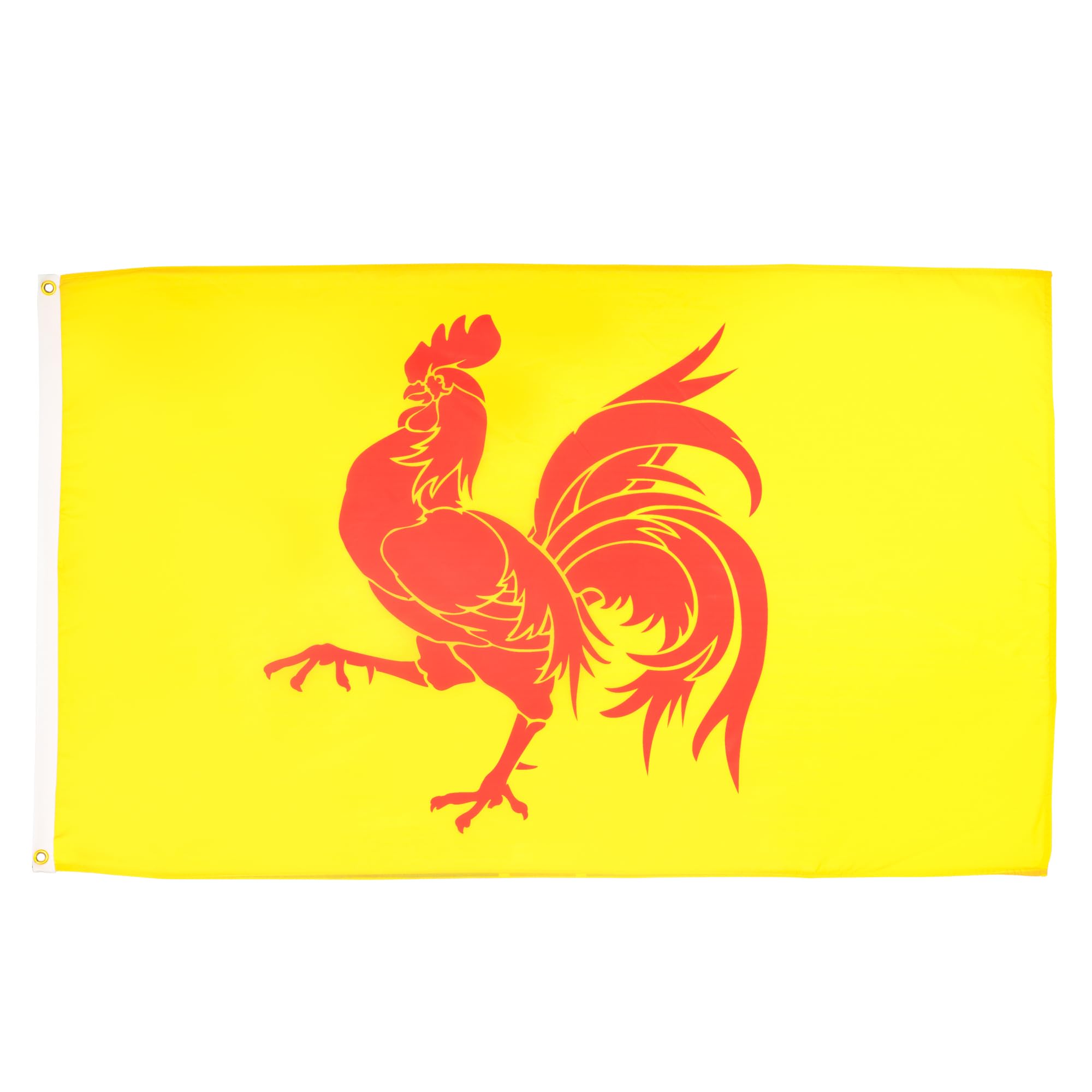 AZ FLAG - Wallonia Flag - 2x3 Ft - 100D Polyester Belgium - Walloon Banner with Two Metal Grommets - Fade Resistant - Vivid Colors - 2' x 3' Feet - 90x60 Cm