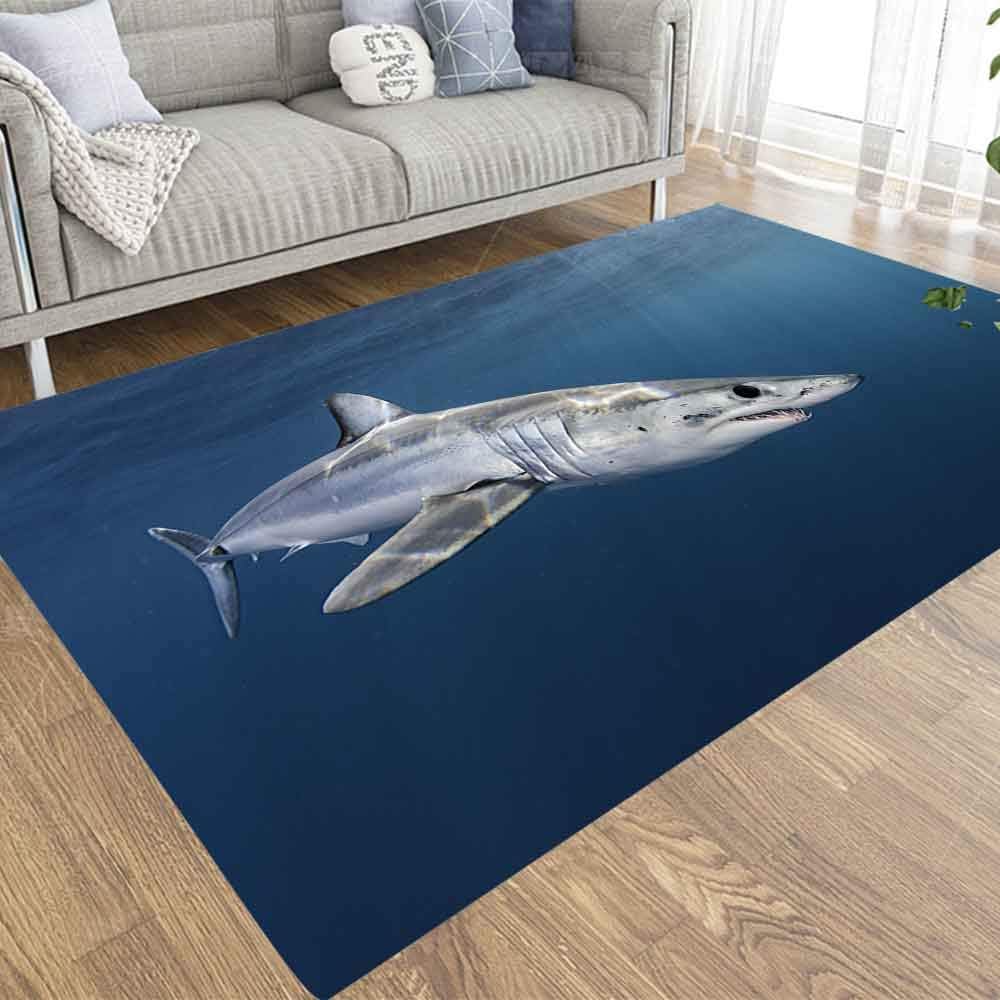 EMMTEEY 5x7 Farmhouse Area Rug of Indoor Outdoor Kids,Boys,Girls Area Rugs Use Shark Swimming Near The Surface in Blue Water Past Western South Africa 50 Kms Offshore Cape