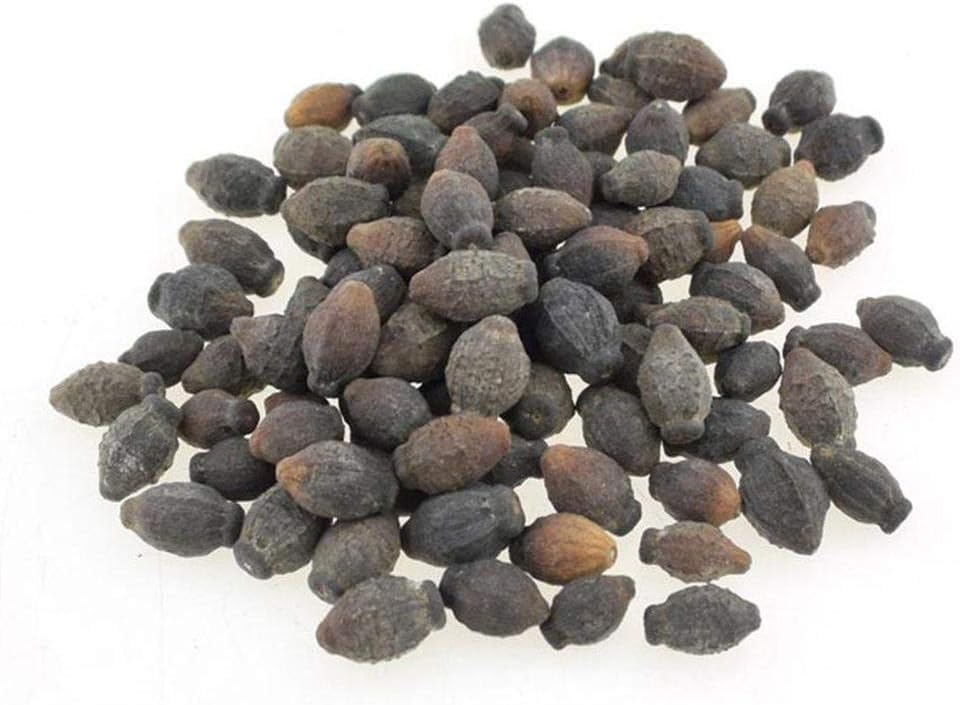 25 PCS Jasmine Seeds Indoor Plants Perennial Flower Seed Amazon.co.uk