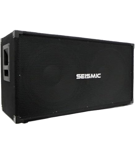Amazon.com: Seismic Audio - 410 Bass Guitar Speaker Cabinet PA DJ
