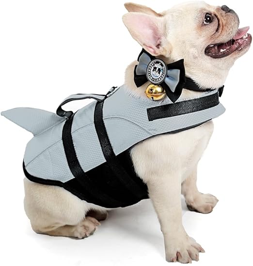 dog swim vest amazon