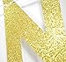 We are One Gold Glitter Garland Bunting Banner, Twins' 1st First Birthday Party Decorations