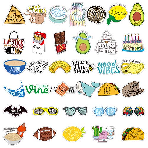 100pcs Fresh Vine Stickers with Trend Funny Humor Words, Vinyl Meme Sticker and Decal Pack for Hydro Flasks Water Bottles Laptop Computer Phones MacBook (Vine Stickers)
