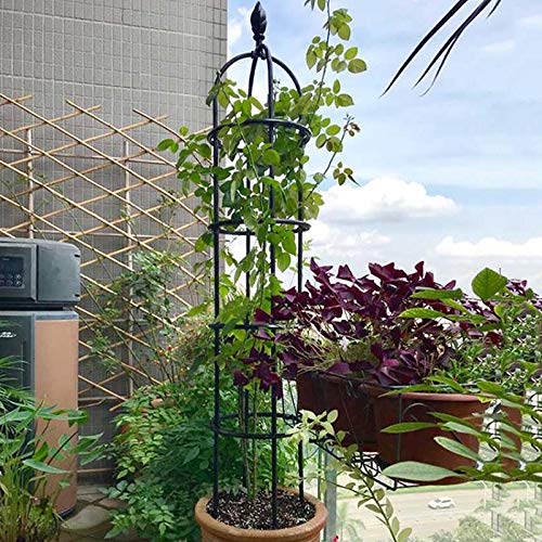 PLHMS Rankhilfe Obelisk, Obelisken freistehende Ranksäule für Garten, 210 cm Metall Rankgitter Rosenpyramide Rosenturm… – Bild 7