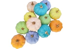 Winlyn 12 Pcs Assorted Small Artificial Pastel Pumpkins Rustic Harvest Decorative Pumpkins in Orange Green Yellow Teal Purple Pink for Fall Autumn Wedding Baby Shower Thanksgiving Halloween Décor