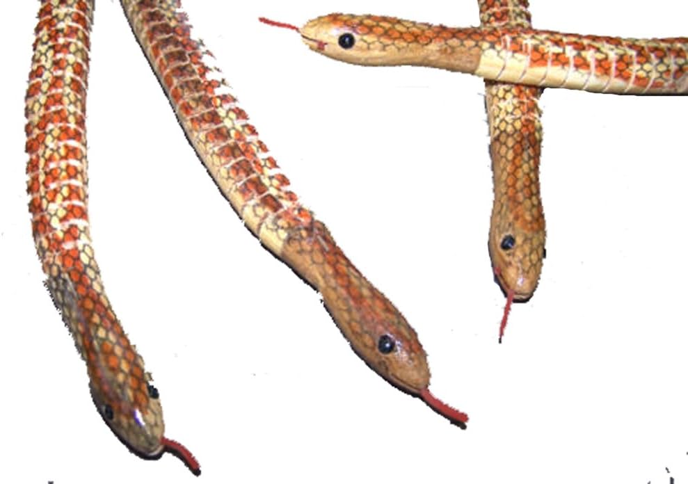 Pet Supplies Novelties co 4 Large 20 Inch Wiggling Wooden Play Snake/Toy Wood Snakes