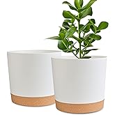 Plant Pots 2 Pack Flower Pots for Indoor Plants 8 inch Pots Planters for Indoor Plants with Drainage Holes and Saucers Pots f