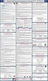 2017 Kansas State and Federal Labor Law Poster - Laminated 24