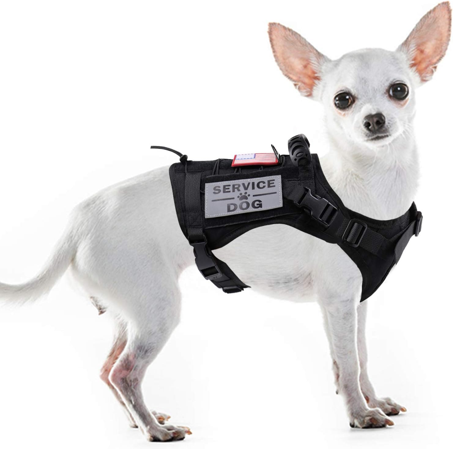 tens dog training collar