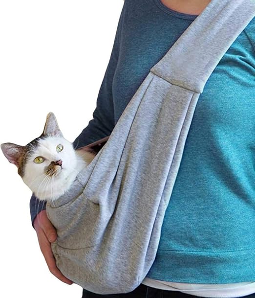 facts about cavapoos