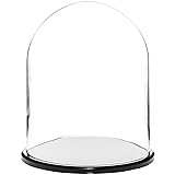 Plymor 8" x 10.25" Glass Display Dome Cloche