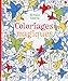 Coloriages magiques (French Edition) by 