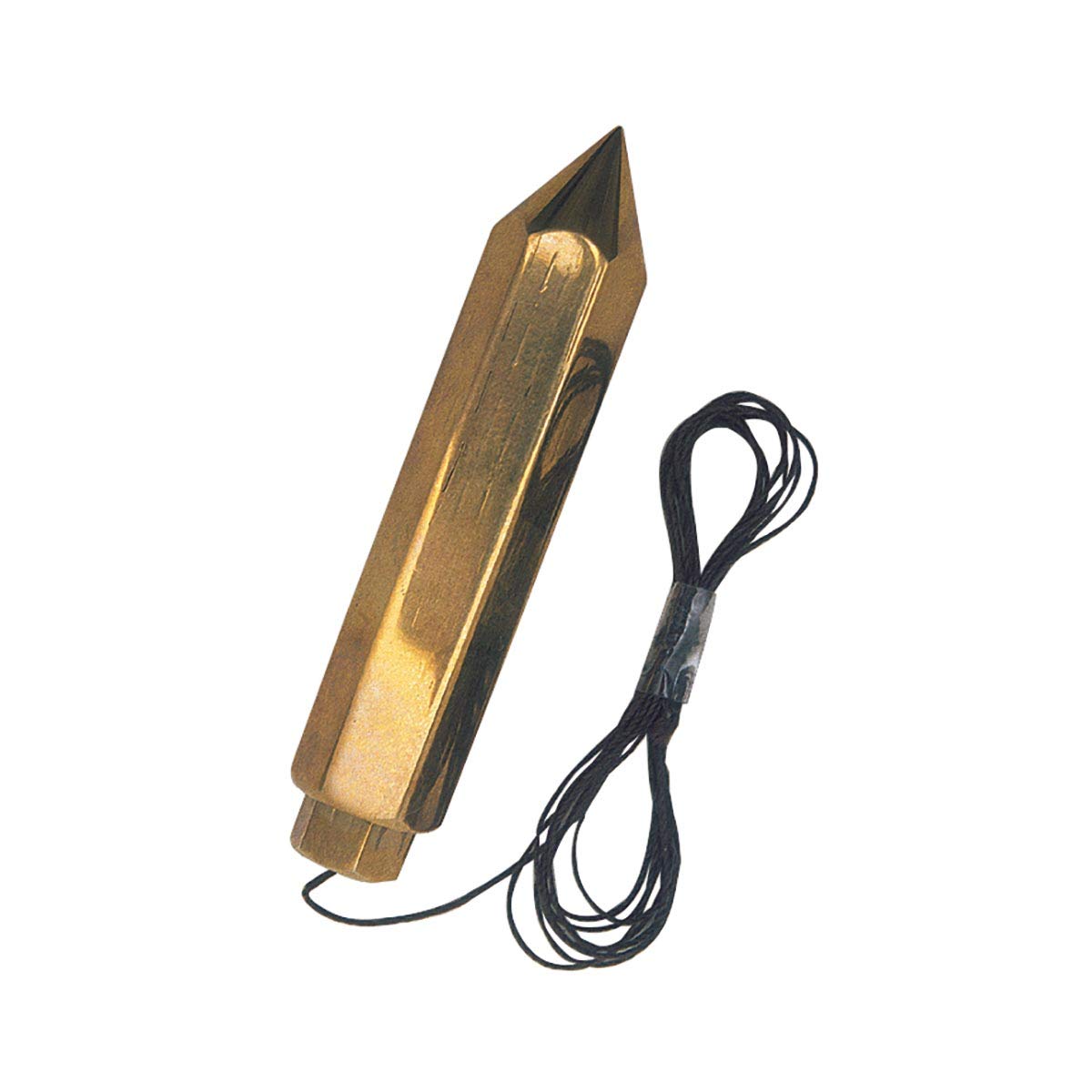 3B Scientific U15015 Plumb With Line