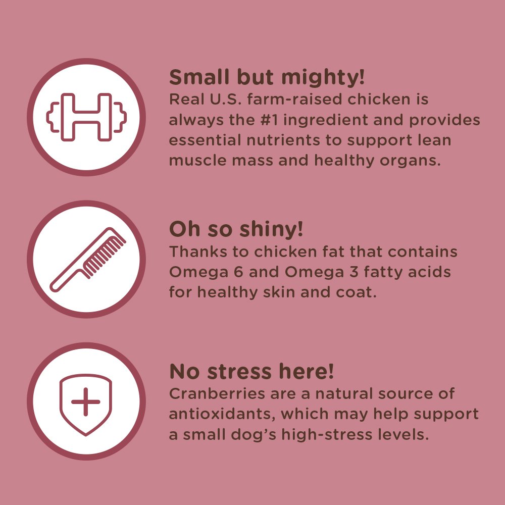 Rachael Ray Nutrish Natural Dry Dog Food - Image 6