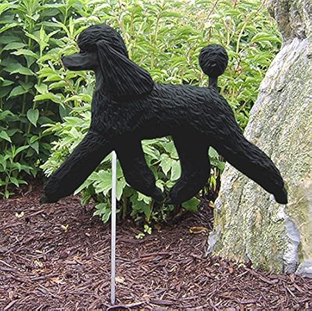 a black poodle