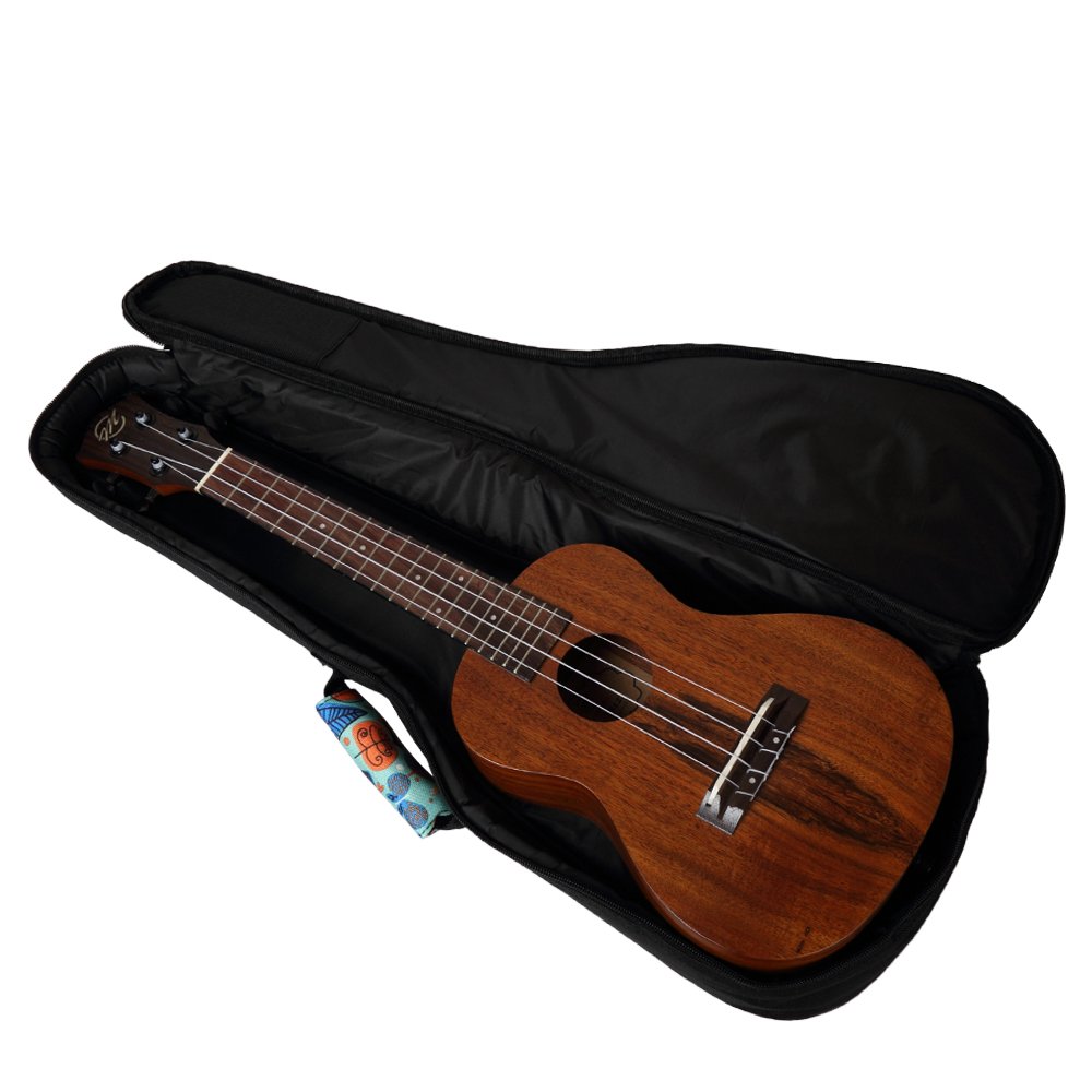 cloudmusic ukulele case