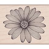 Hero Arts Etched Daisy Woodblock Rubber Stamp