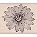 Hero Arts Etched Daisy Woodblock Rubber Stamp