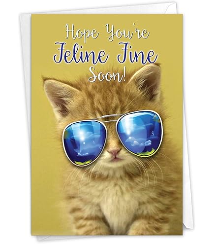 Central 23 Carte Rétablissement Humoristique - Chat Drôle Avec Autocollants - Cadeau Réconfortant Carte Depart Collegue De Travail