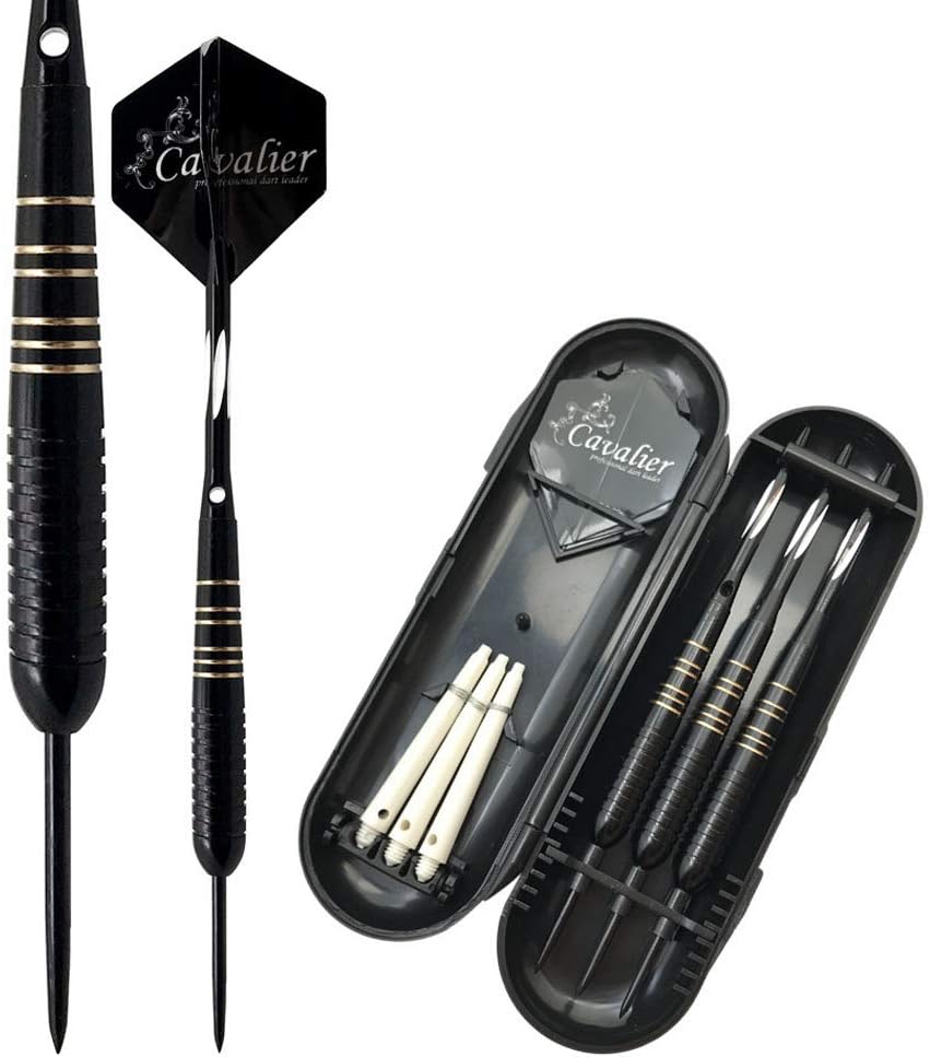 Professional Tournament 23g Steel Tip Darts with Hard Case, Aluminum