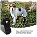 JunoPets Dog Canine Rear Leg Knee Brace, Hock Joint Wrap for Heals and Prevents Injuries and Sprains Helps with Loss of Stability (Medium)