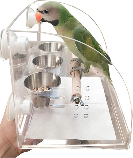 parrot food dishes