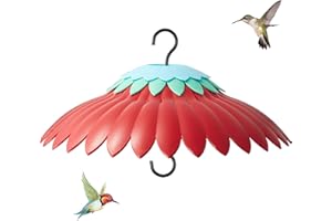 Beserie Squirrel Baffle for Hanging Bird Feeder Rain Cover for Outside Weather Guard Protect Feed from Sun Blue Dome Attract Hummingbirds, Moat Proof, Easy to Clean-14inch(Red)