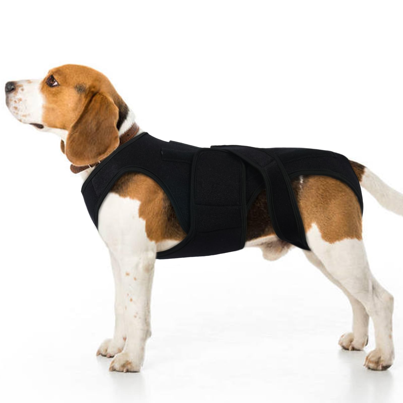 Photo 1 of LeleTail Back Brace for Small Dogs - Adjustable Dog Spine Support Vest with 5 Support Rods, Breathable Fabric for Post-Op Comfort & Hip Support for Small Pets, Black XS