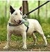 Dog Harness PYRUS Soft Reflective No Pull Dog Leash Padded Pet Walking Adjustable Harness for Dogs (22-27inch)
