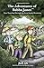 The Adventures of Bubba Jones: Time Traveling Through the Great Smoky Mountains (A National Park Series)