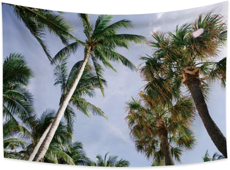 OERJU 59.1x39.4 inch Huge Palm Trees Tapestry Tropical Tapestry Wall Hanging Natural Landscape Tapestries for Living Room Bedroom Dorm Home Decor