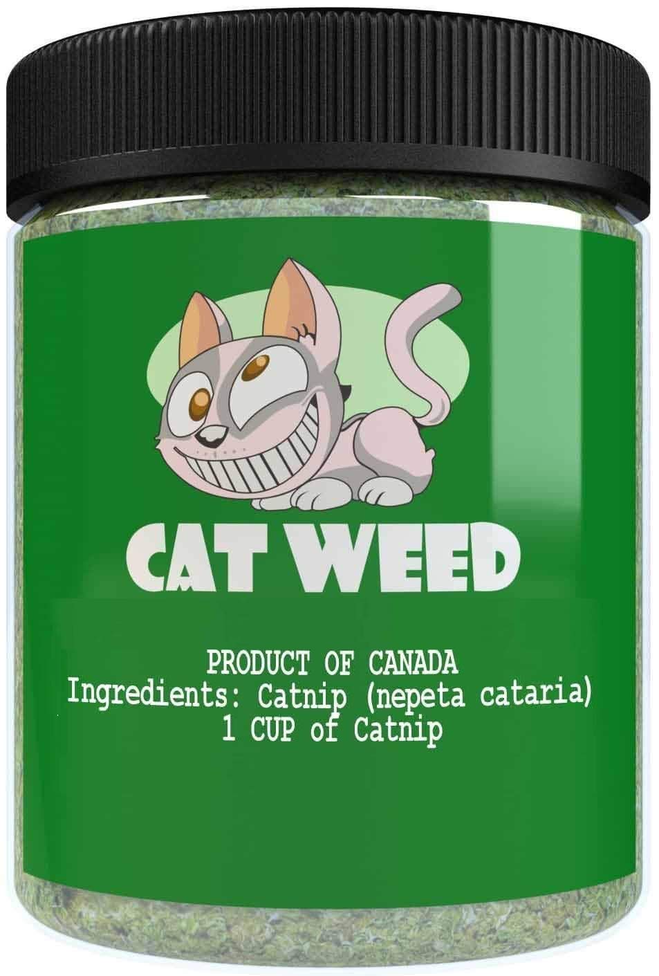 Cat Weed Catnip has Maximum Potency Premium Blend Nip That Your Cats to