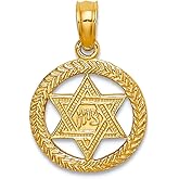 JewelryWeb 13mm 14k Gold Religious Judaica Star of David In Circle Engraved Jewish Pendant Necklace for Women
