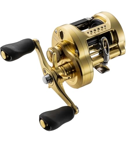 リール 2022 SHIMANO CALCUTTA CONQUEST 201HG Amazon.com: SHIMANO Calcutta Conquest 201 HG LH, dorado