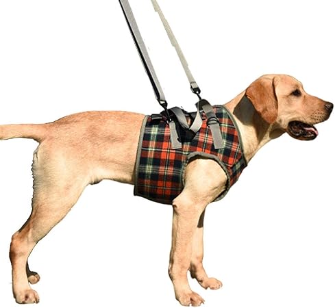 dog leg sling