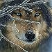 Fairylove 30×30 Diamond Painting Full Diamond Bead Painting Diamond Art Kits for Adults Full,Wolf in the Snow Day
