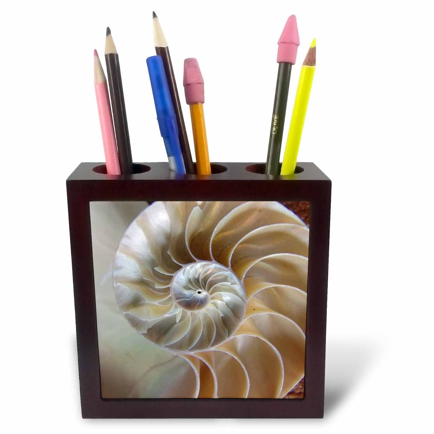 3dRose Nautilus Shell-Tile Pen Holder, 5-Inch (Ph_7487_1), 5 Inches