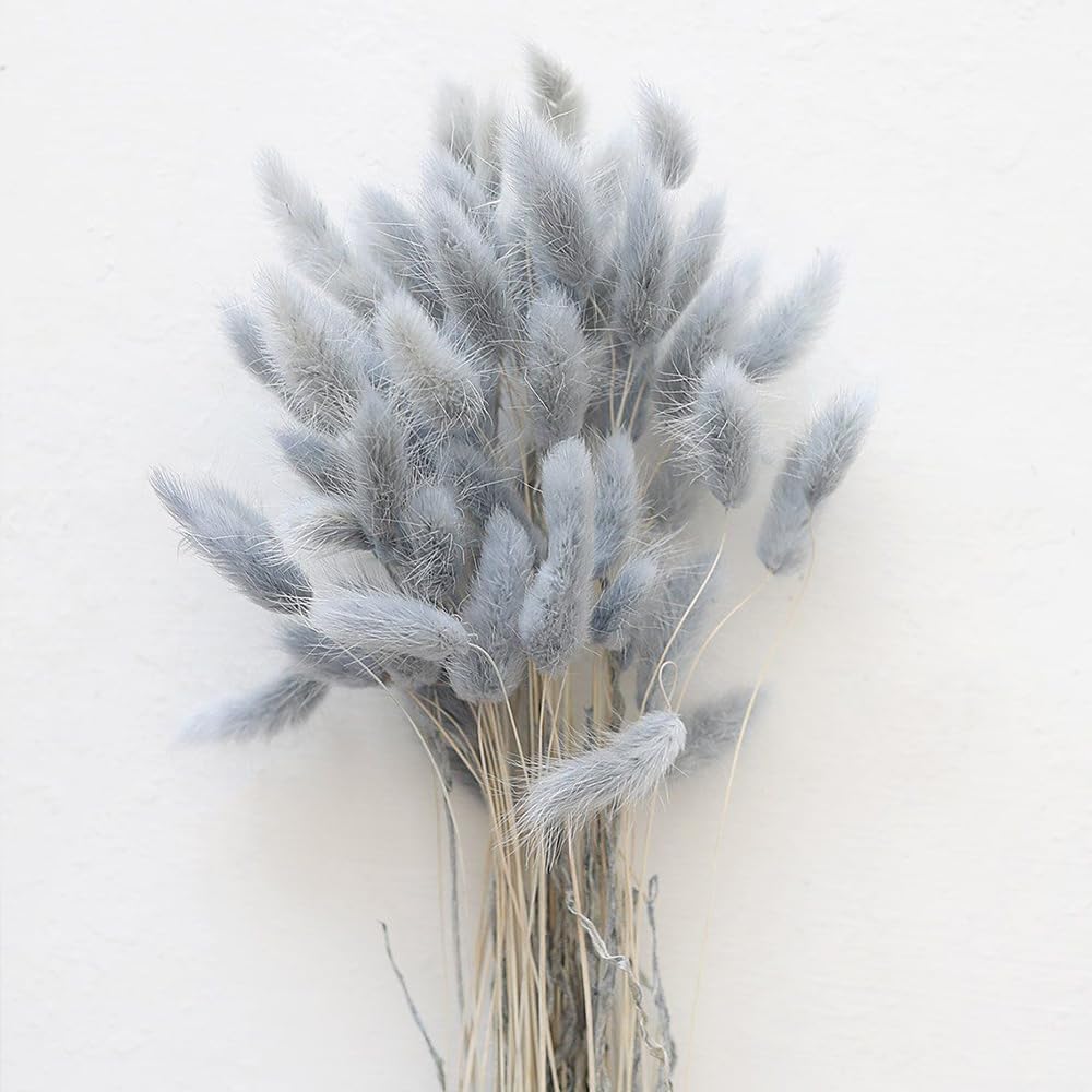 Dried & Preserved Flora - 60PCS Rabbit Tail Grass Dried Flowers Dried Natural Floral Arrangement Bunch Decoration Dried Grass,Eternal Flower Dried Grass for Home,Wedding,Party,Flower Bouquet,Photo Props Decor (Grey)