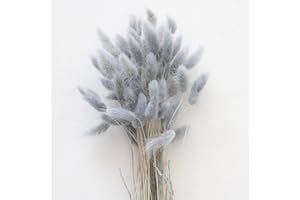 EEAIVNM 60PCS Rabbit Tail Grass Dried Flowers Dried Natural Floral Arrangement Bunch Decoration Dried Grass,Eternal Flower Dried Grass for Home,Wedding,Party,Flower Bouquet,Photo Props Decor (Grey)