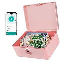 Fingerprint Storage Box Portable Locking Storage