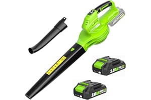 SEYVUM Cordless Leaf Blower, 20V Blower with 2 X 2.0 Ah Battery, Electric Blower for Lawn Care, 350 CFM 150 MPH Battery Powered Leaf Blower with Charger, for Patio, Garden Cleaning, Green