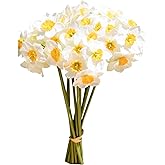 Mandy's 12 Stems White Silk Daffodils – Artificial Spring Centerpiece Flowers for Outdoor Garden, Porch, Wedding, Home Decor
