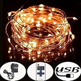 Accmor Indoor/Outdoor Led String Lights - USB Bedroom Copper Decorations for Father's Day - with USB Cable, Remote Controller, UL Certified Power Adapter - 33ft /100 LEDs, Warm White