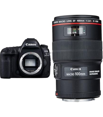 Amazon.com : Canon EOS 5D Mark IV Full Frame Digital SLR Camera