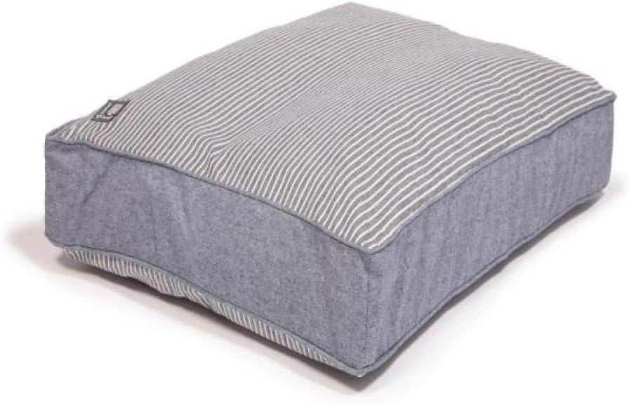 2nd generation cavoodle puppies for sale