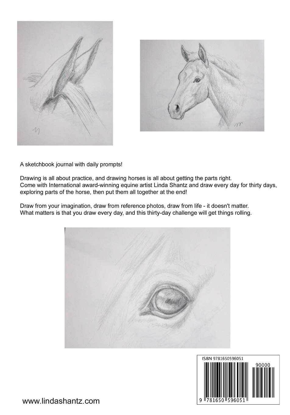 Amazon Com Around The Horse In Thirty Days A Drawing Adventure With Linda Shantz 9781650596051 Shantz Linda Books