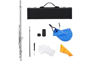 Btuty Western Concert Flute Cupronickel Nicke Plated 16 Holes C Key Woodwind Instrument with Cleaning Cloth Stick Gloves Mini