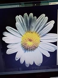 Amazon.com: Acer G236HL Bbd 23-Inch Screen LED-Lit Monitor: Computers